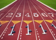 开云体育APP下载-2026世界杯强强对话，突尼斯横扫越南，哈基米一剑封喉！